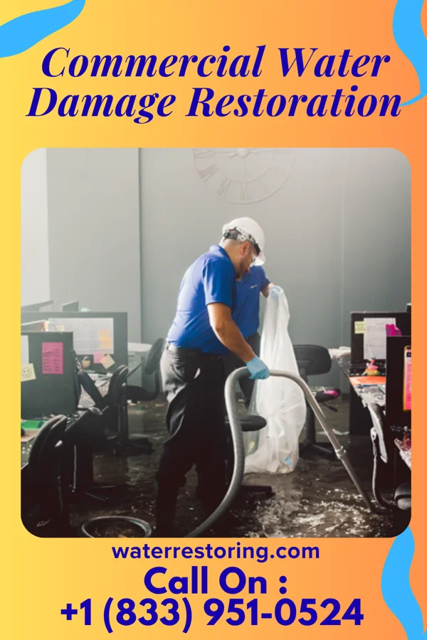 Commercial Water Damage Restoration in Pinole, CA